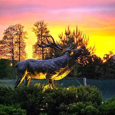 Blisko Natury - Wypoczynkowe W Dolinie Baryczy Ferienhaus Milicz
