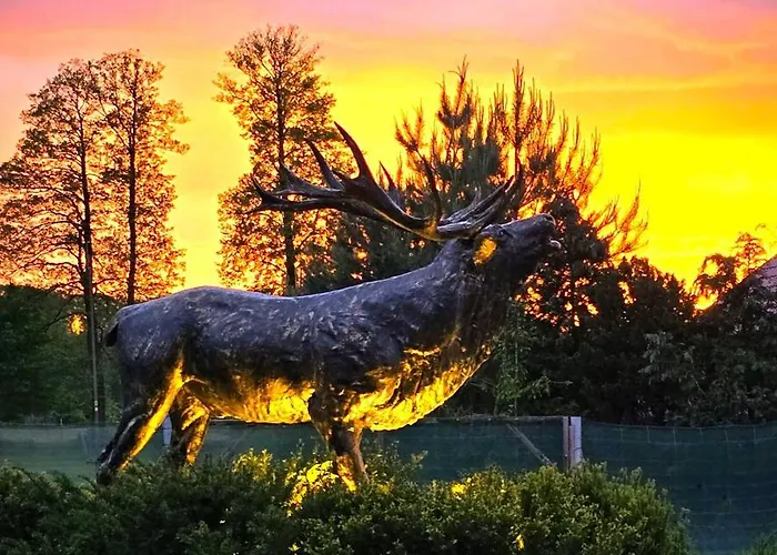Blisko Natury - Wypoczynkowe W Dolinie Baryczy Hébergement de vacances Milicz